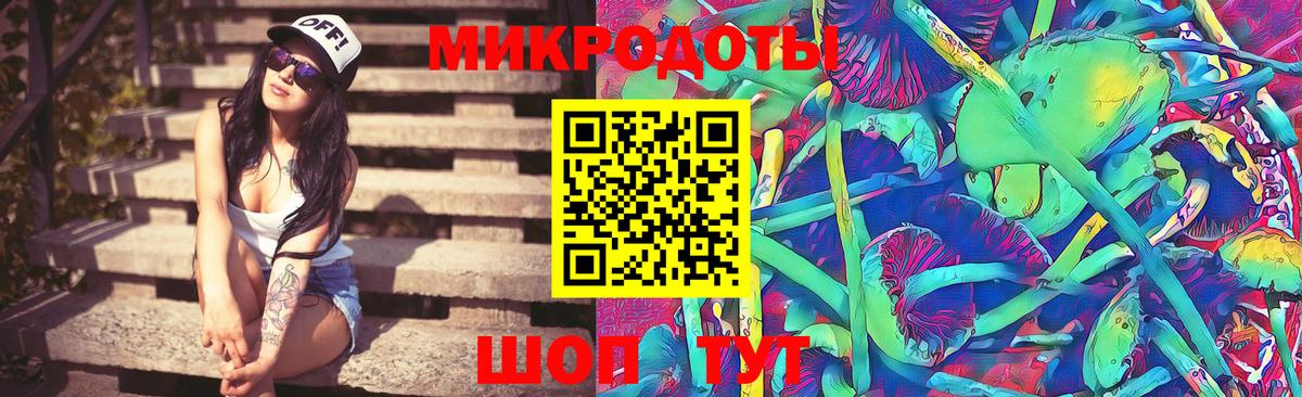 Псилоцибиновые грибы Psilocybine cubensis Унеча