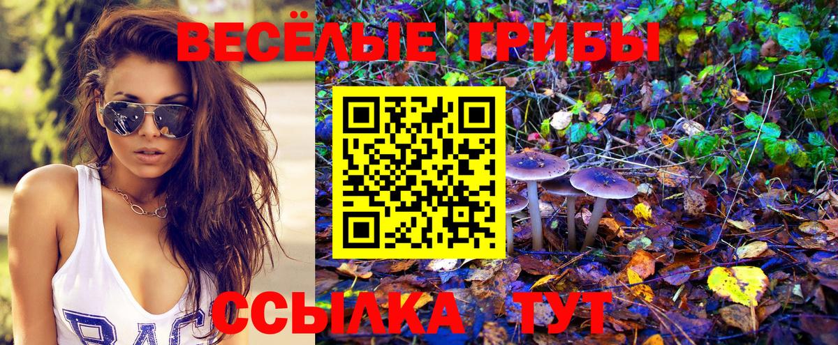 Унеча  наркошоп  Вход с VPN  Псилоцибиновые грибы Magic Shrooms 